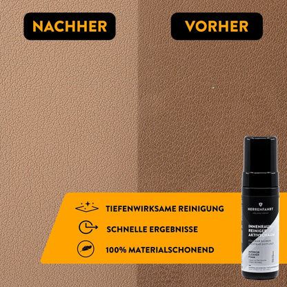 Premium Innenraumreiniger-Set